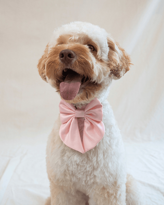 Wander! Blossom Pink Collar Sailor Bow