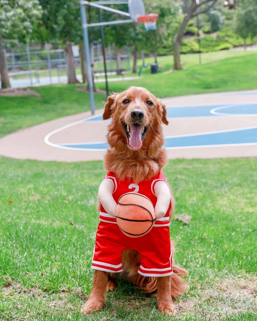 The Ball Hog Halloween Dog Costume