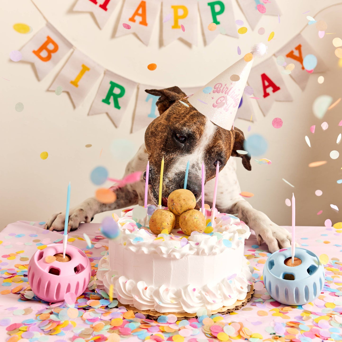 Birthday Pupsicle Pops - Assorted Sizes