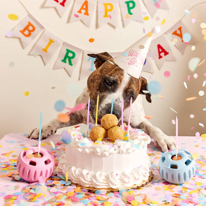 Birthday Pupsicle Pops - Assorted Sizes