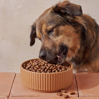 Yumwoof Ancestral Blend Dog Food - Turkey Recipe