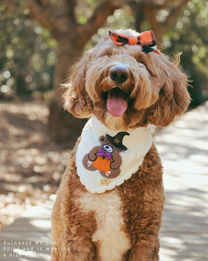 Spooky Teddy Knit Bandana with Scalloped Edge