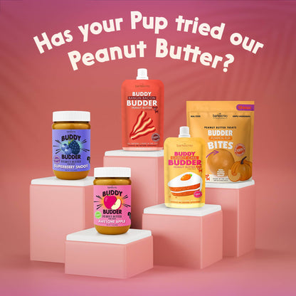 Dog Peanut Butter - 4oz Squeeze Packs Beef Broth Budder