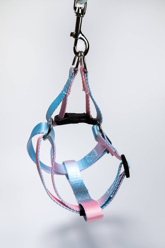 Gradient Pink/Blue Walk Kit Leash and Harness