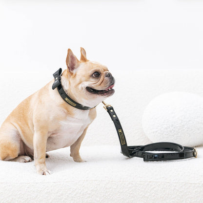 Frenchie Vegan Leather Collar, Leash, & Bow Tie Set