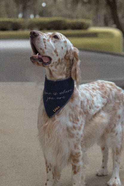 Home Is Where You Are Knit Bandana