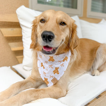 Honey Bear Bandana