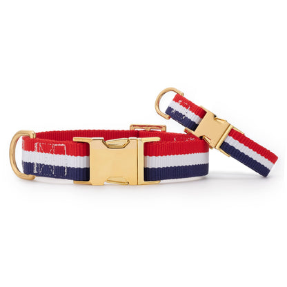 Red, White, and Blue Striped Webbing Dog Collar