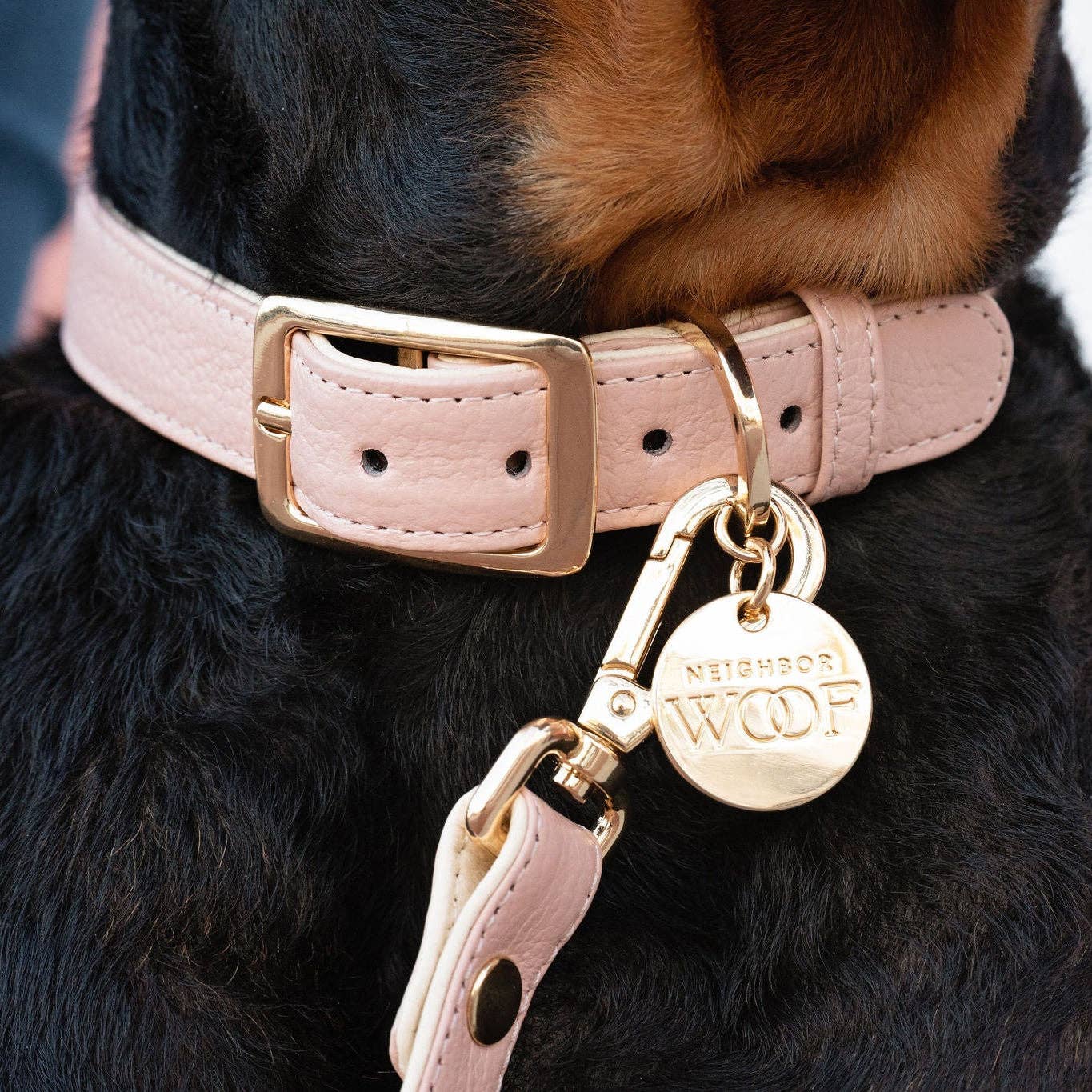 Blush Leather Dog Collar