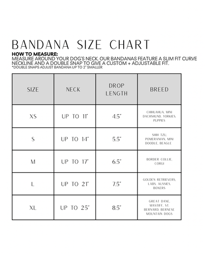 Santa's Favorite Dog Bandana