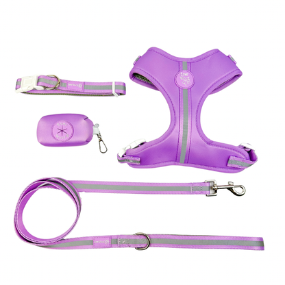 Shine Bright - Amethyst Adjustable Dog Harness