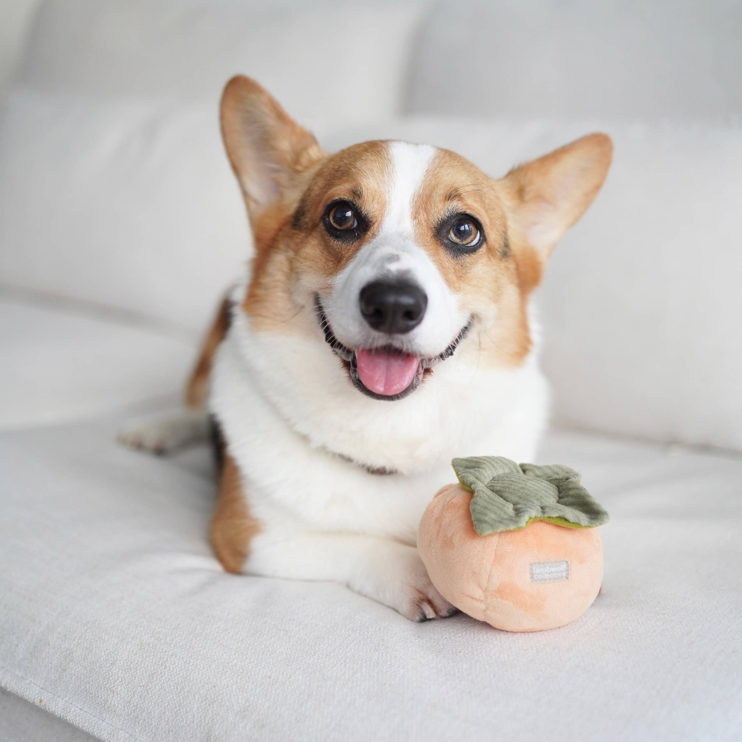 Persimmon Enrichment Dog Toy Set Snuffle Toy – Pixie Sticks Dog Boutique