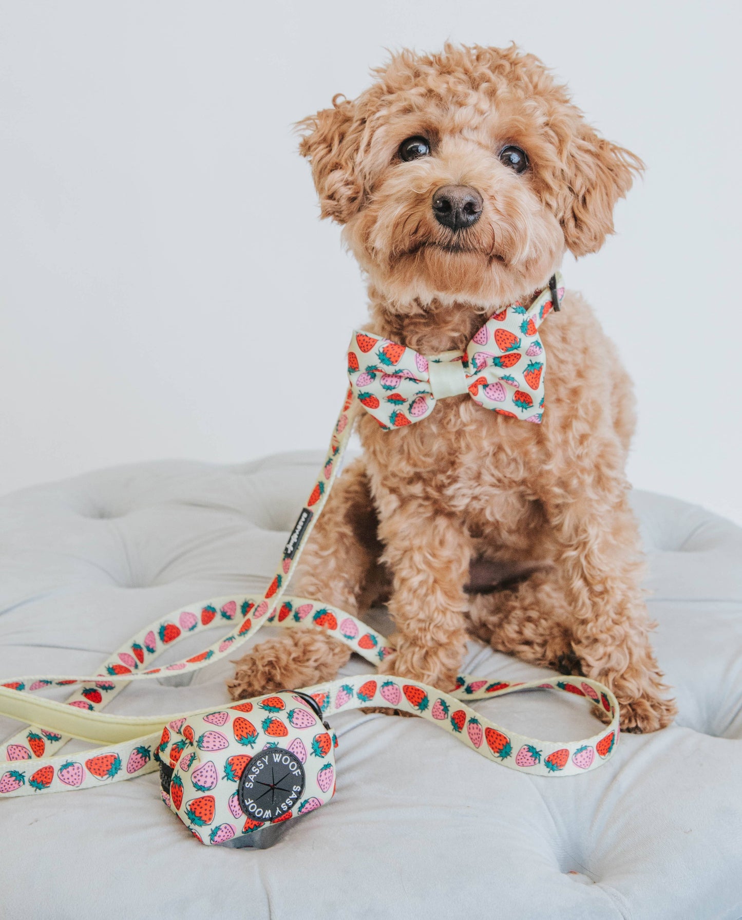 Dog Bowtie - Strawberry Fields Furever