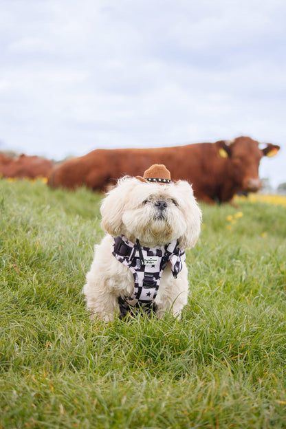 Wild West Adventure Dog Harness
