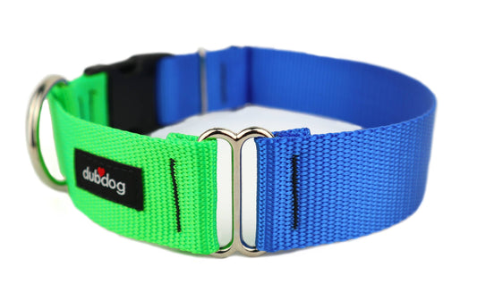 Neon Green and Royal Blue Collar