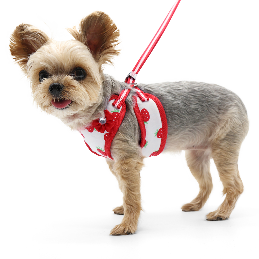 Arnés para perros EasyGO fresa