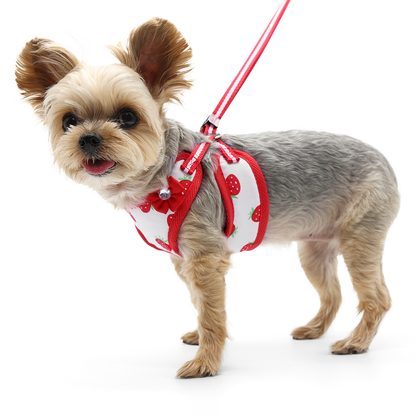 Arnés para perros EasyGO fresa