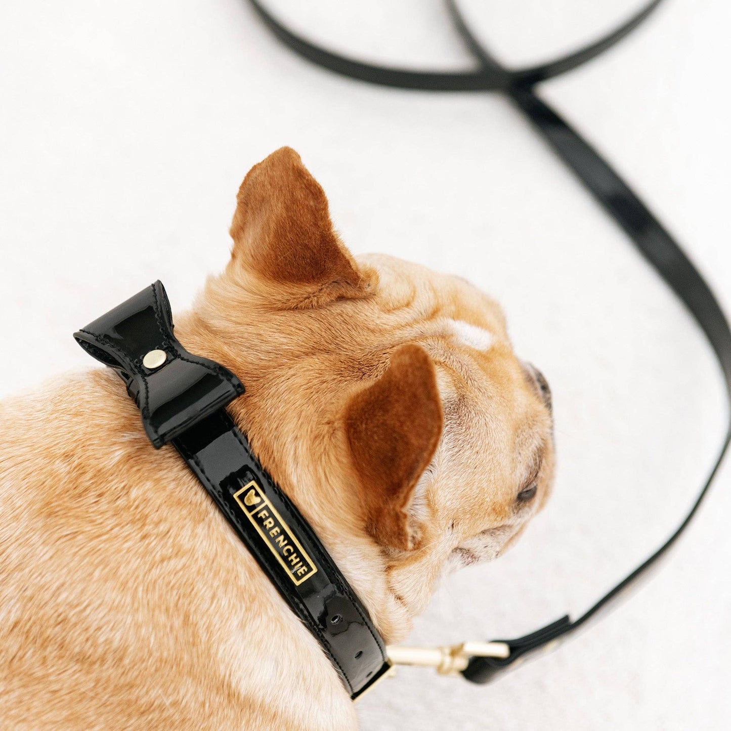 Frenchie Vegan Leather Collar, Leash, & Bow Tie Set