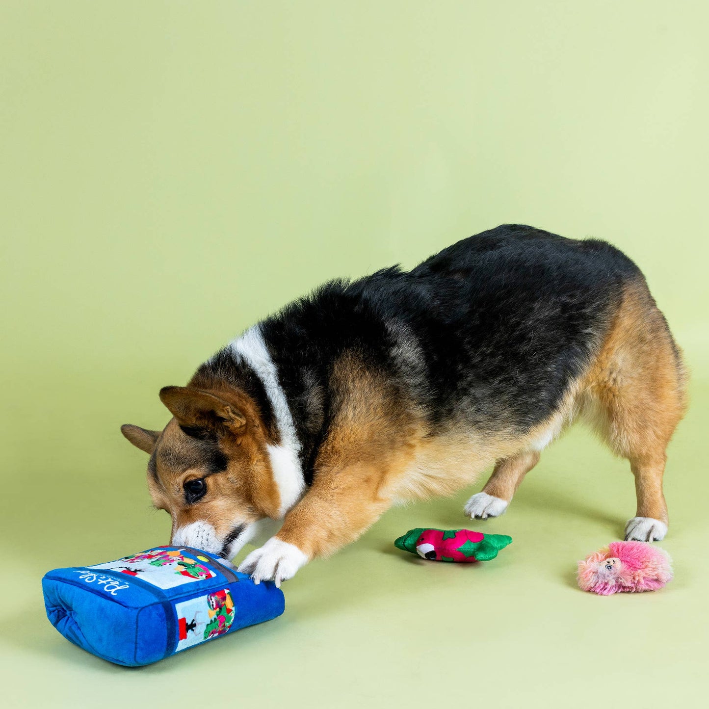 JUGUETE PARA PERROS LISTOS PARA ESCONDERSE Y BUSCAR GARRAS