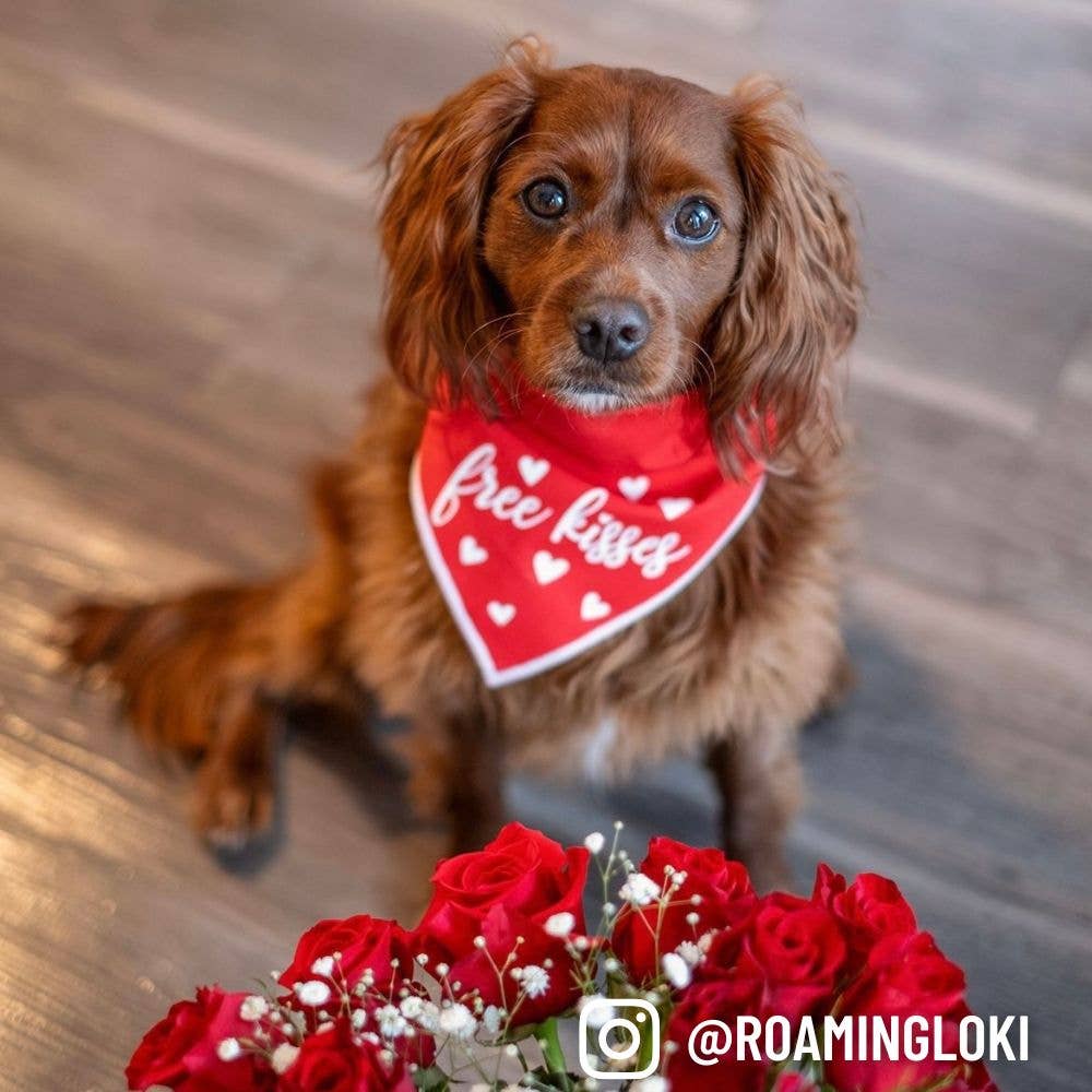 "Free Kisses" Valentine's Day Dog Bandana