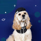 Ozzie - Stylish Pet Hat and Bandana