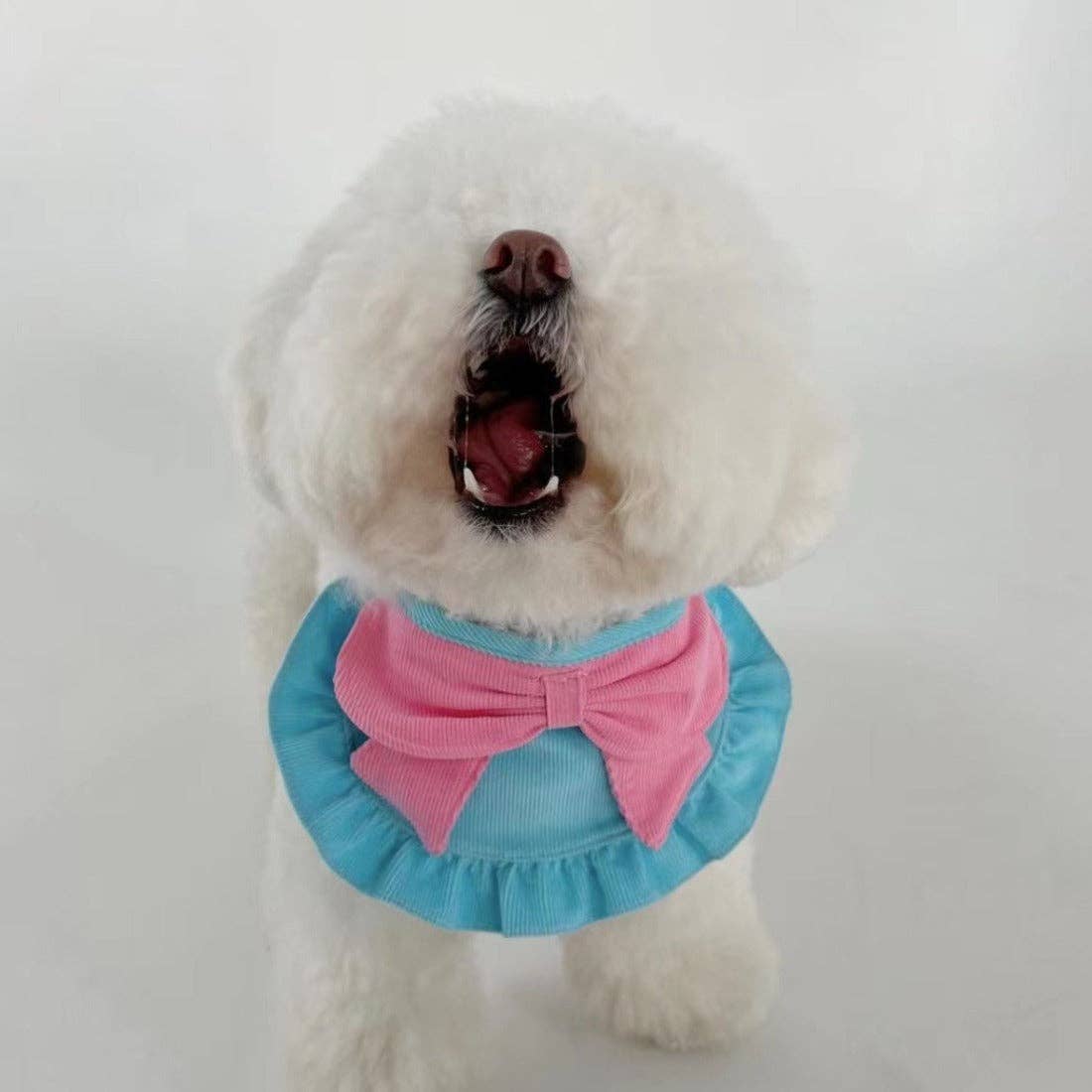 Ruffle Pet Bandana with Decorative Bow-Assorted Colors