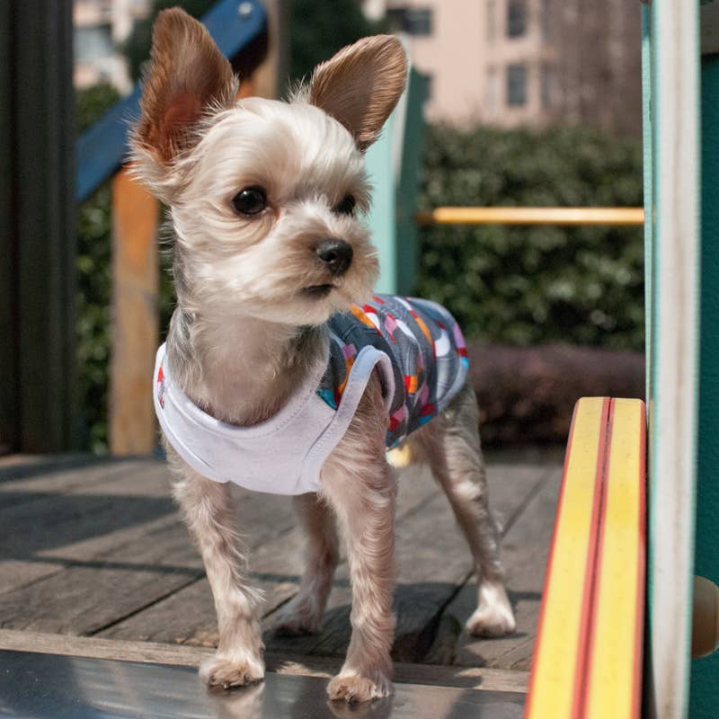Lifesaver Dog Tank