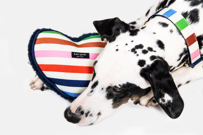 Heart Dog Chew Toy