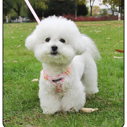 Small Dog Vest Harness with Leash