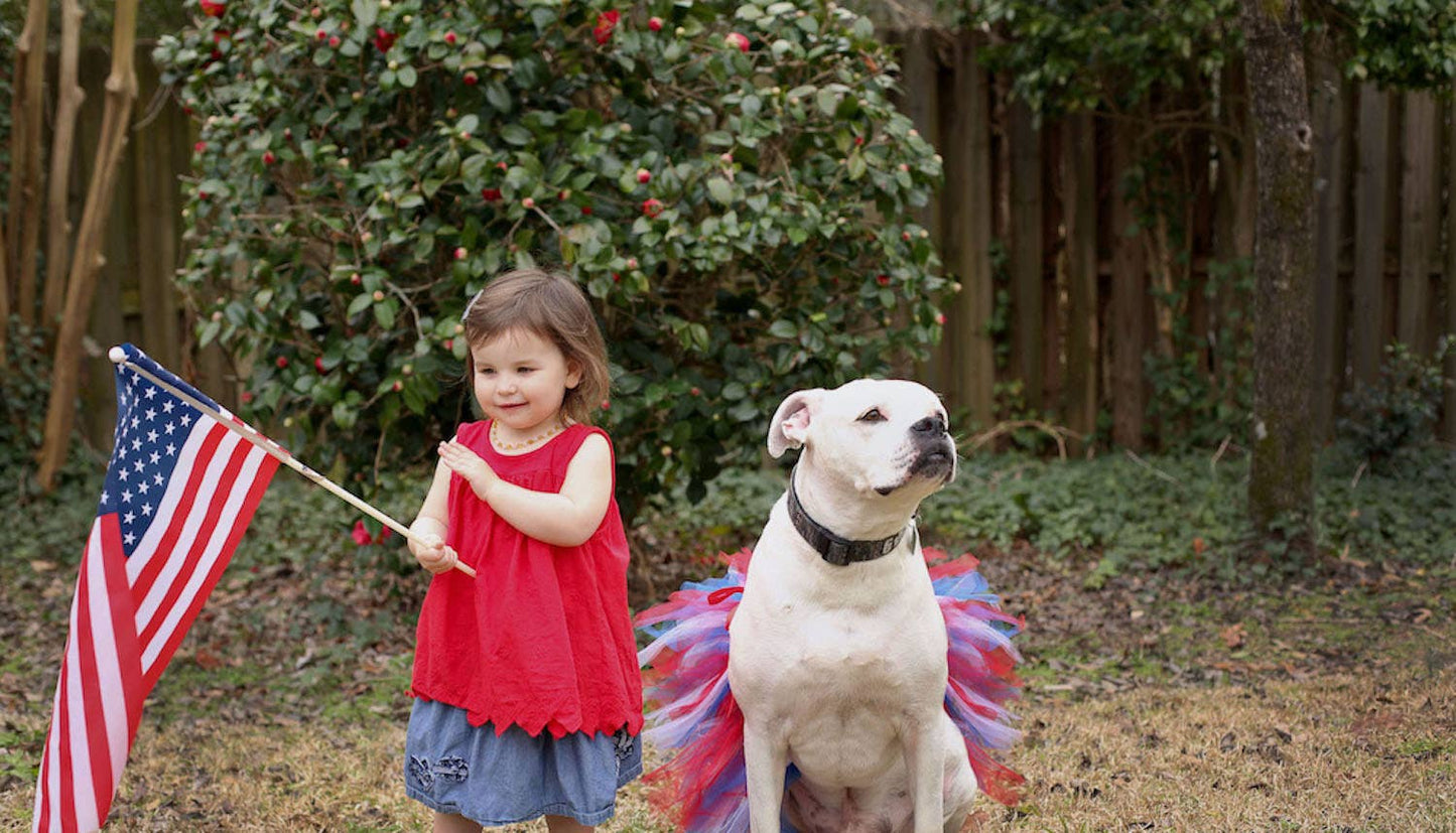 American Flag Dog Tutu/Skirt