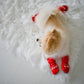 Nice & Naughty List Human & Dog Christmas Sock Set