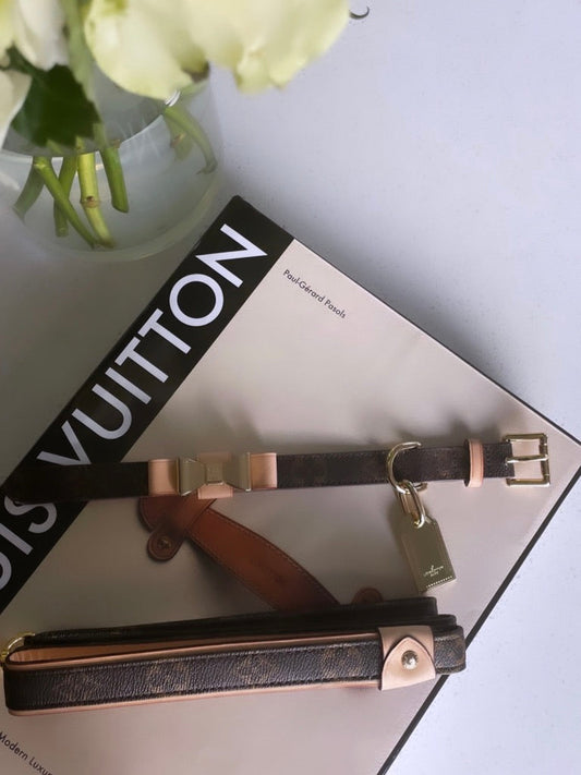Luxury Dog Collar with Leash