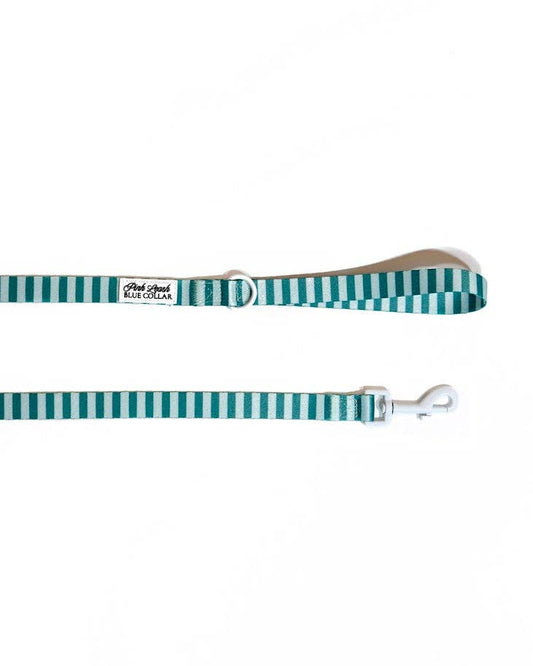 Mint and Green Striped Leash
