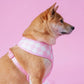 Frenchie Duo Reversible Harness - Pink Bubblegum