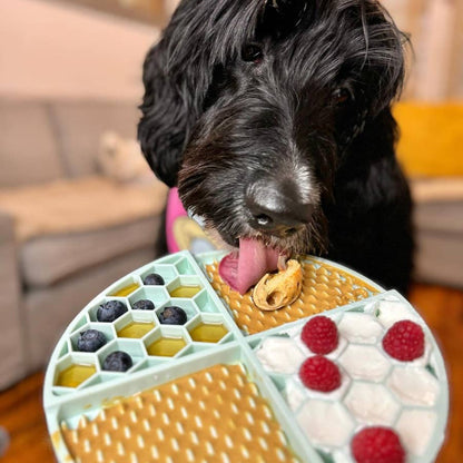 Dog Peanut Butter - 4oz Squeeze Packs Beef Broth Budder