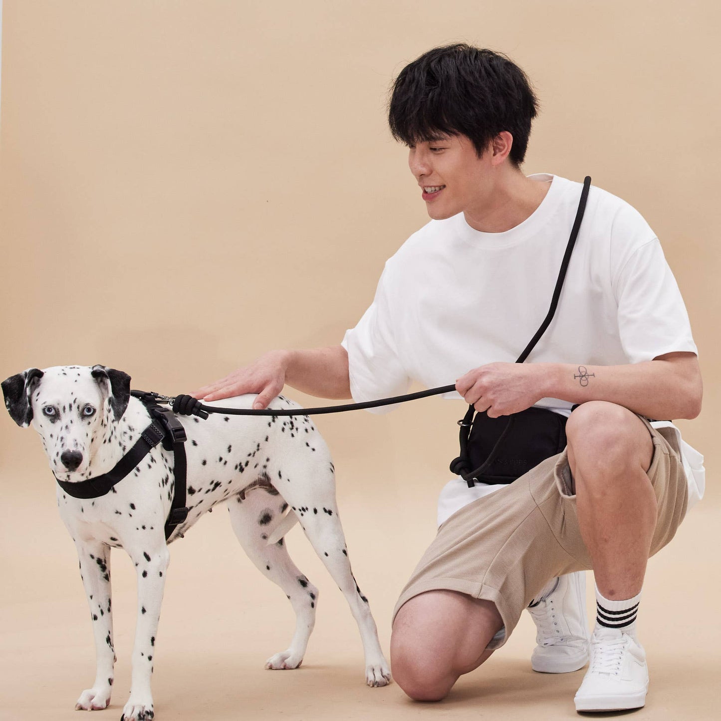 Rover Dog Harness