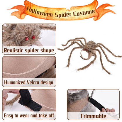 Spider Dog Costume