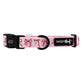 Collar para perro - Sweet Treats: XSmall