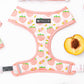 Frenchie Duo Reversible Harness - Peaches