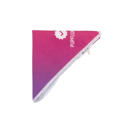 Pupfluencer Dog Bandana
