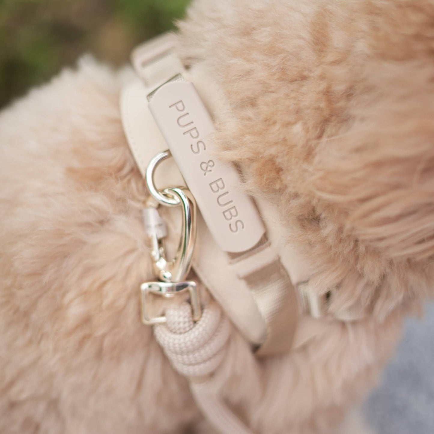 Rover Dog Harness