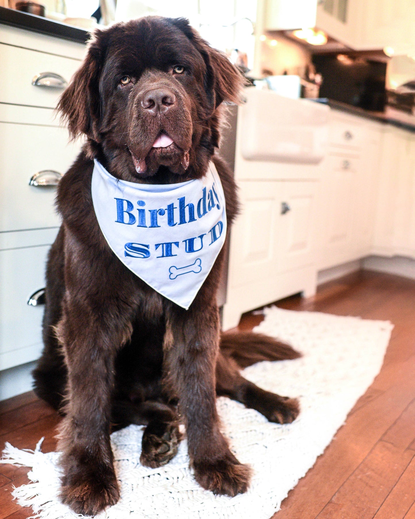Embroided Birthday Boy Bandana