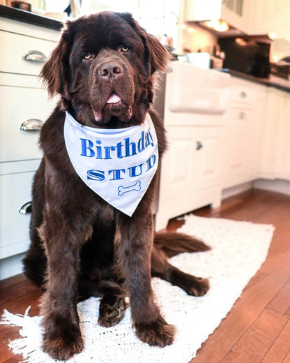 Embroided Birthday Boy Bandana