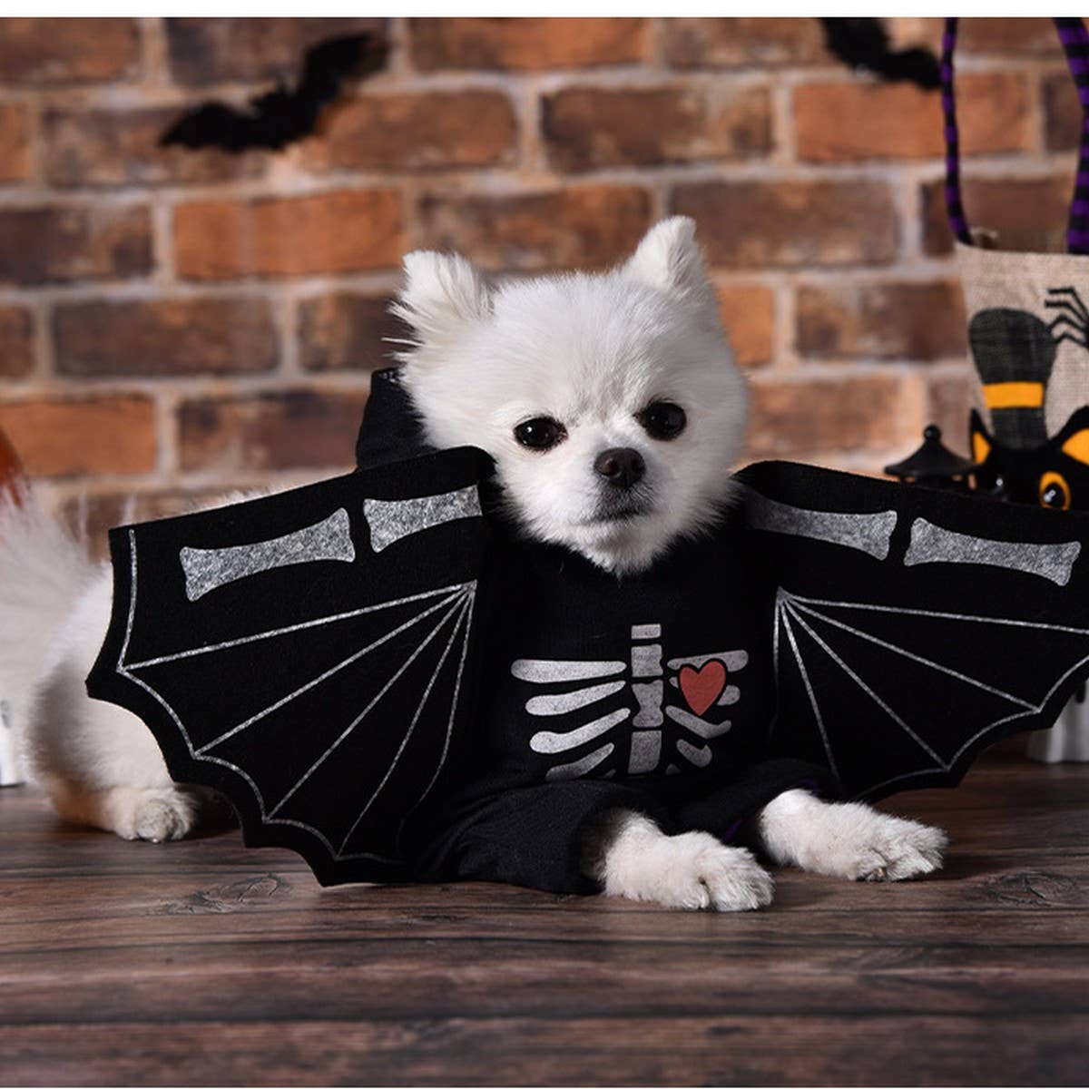 Small Dog Bat Costume