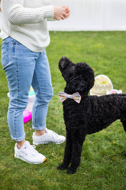 Spring Pastel Plaid Dog Bowtie