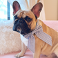 Blue Plaid Dog Bow Tie