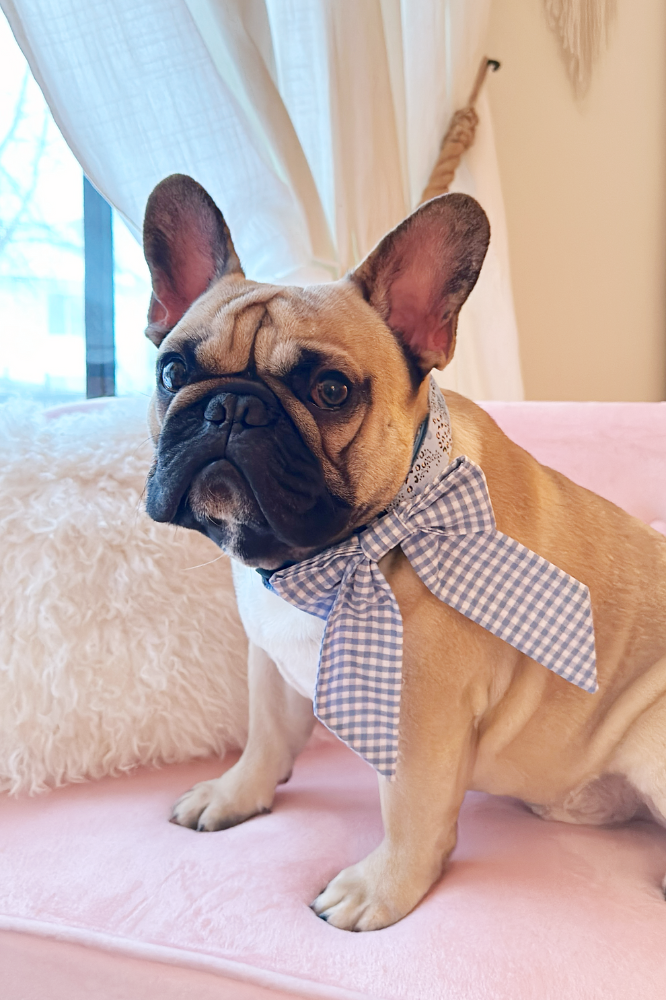 Blue Plaid Dog Bow Tie