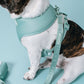 Frenchie Duo Reversible Harness - Sage