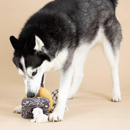 Juguete para perros chirriante de lona con cuerda