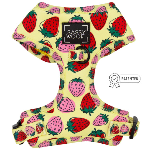 Dog Adjustable Harness - Strawberry Fields Furever